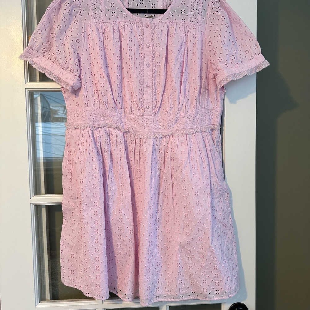 J. Crew Pink Eyelet Dress